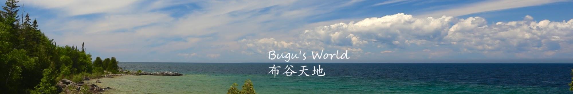 Bugu's World 布谷天地