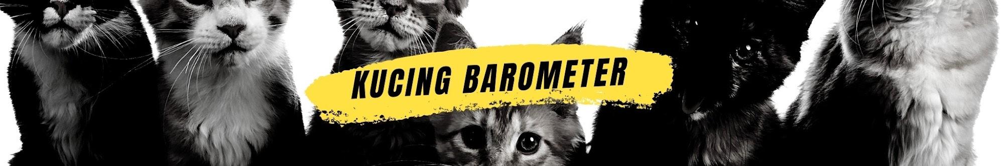 Kucing Barometer