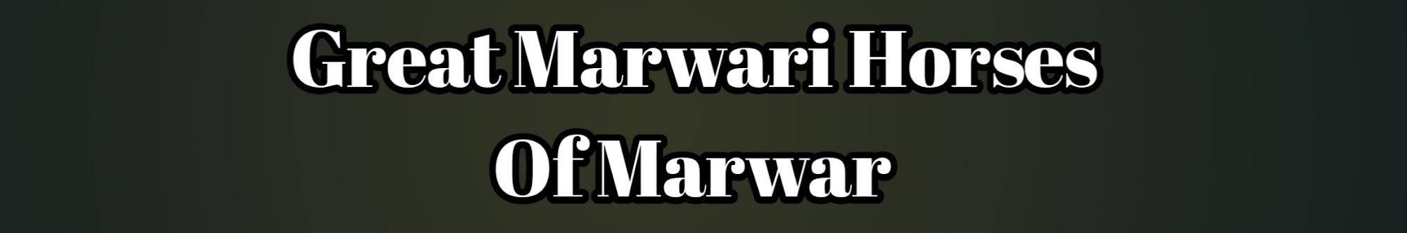 Great Marwari Horses Of Marwar