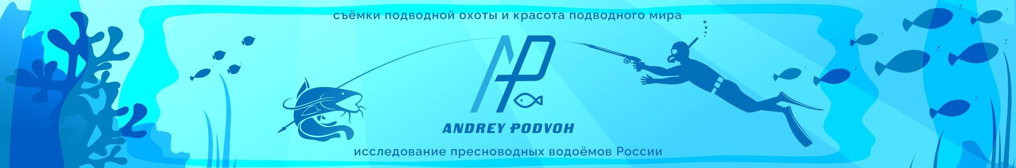 Andrey Podvoh