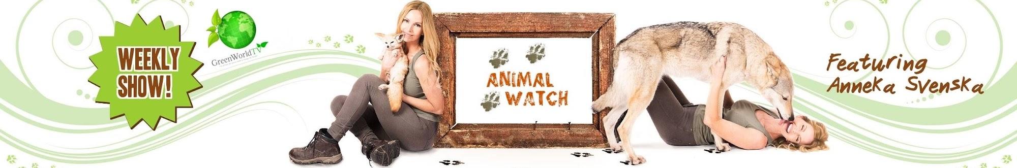 Animal Watch