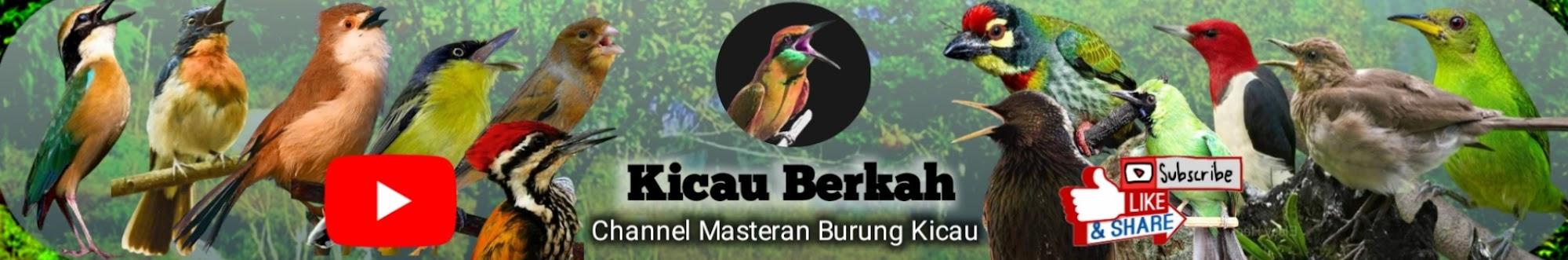 Kicau Berkah