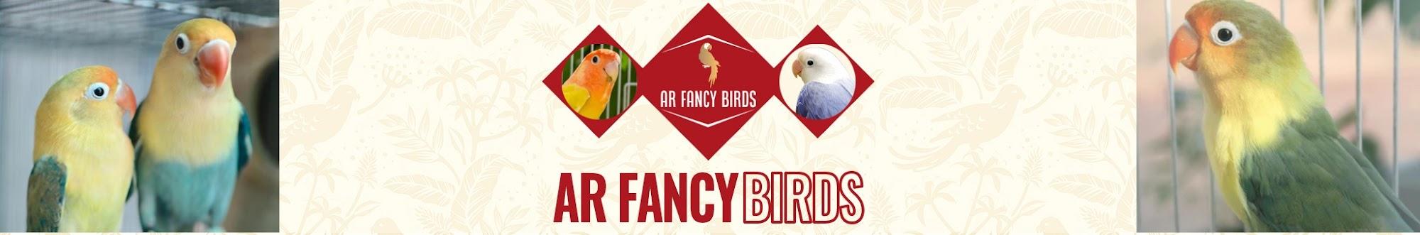 AR Fancy Birds