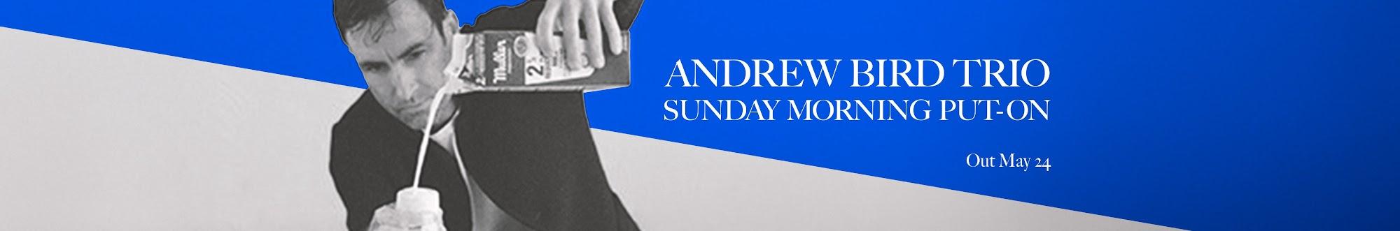 andrewbirdmusic