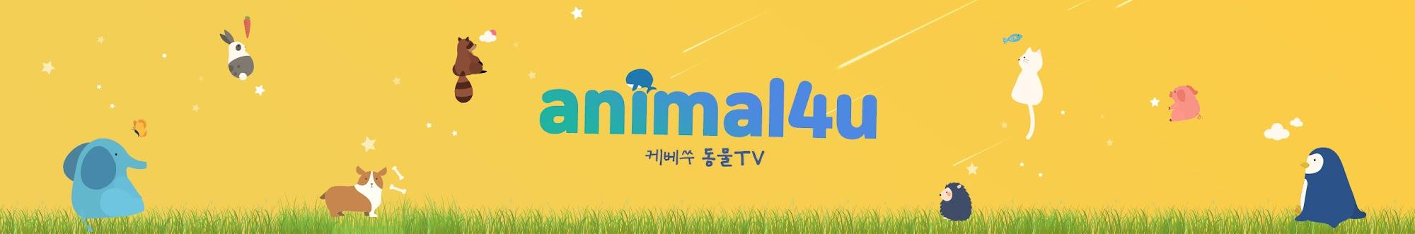 KBS동물티비 : 애니멀포유 animal4u