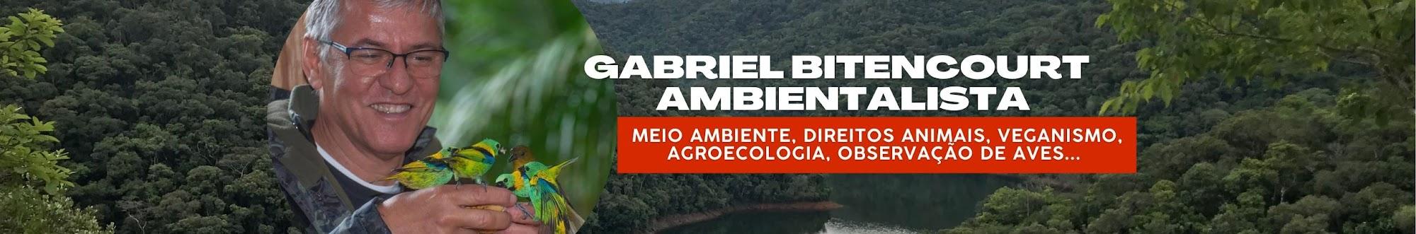 Gabriel Bitencourt - Ambientalista