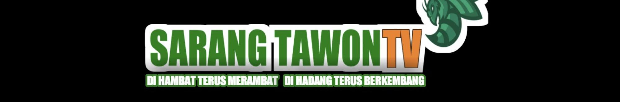Sarang Tawon TV