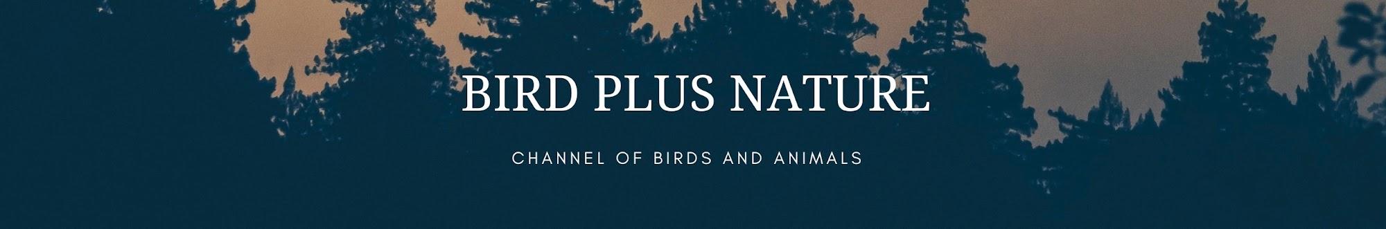 Bird Plus Nature