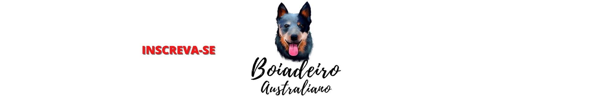 BOIADEIRO AUSTRALIANO OFICIAL