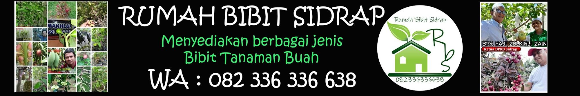 Rumah Bibit Sidrap