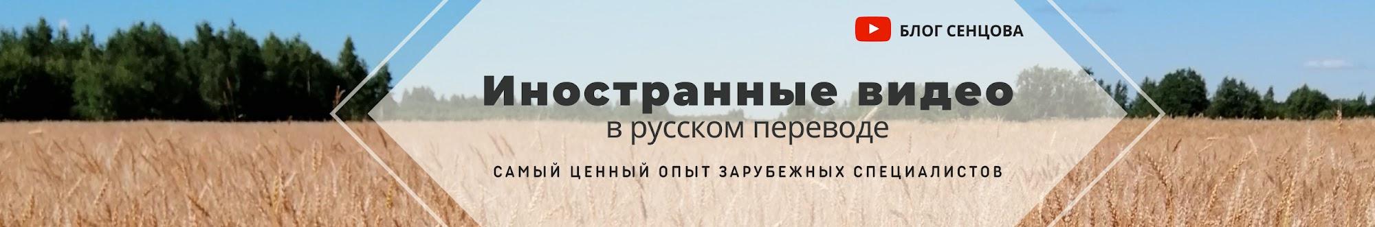Блог Сенцова