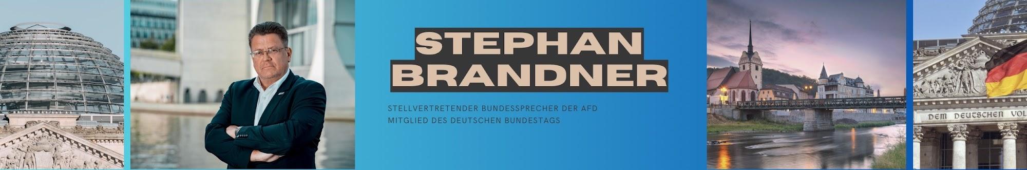 Stephan Brandner, MdB