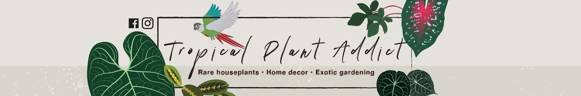 Tropical Plant Addict