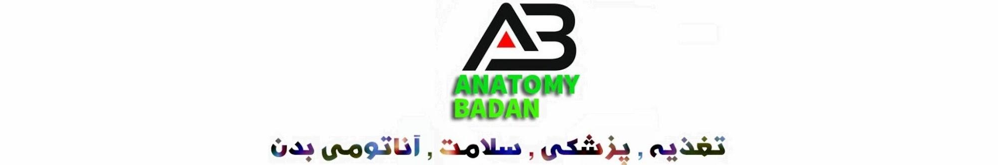 Anatomy Badan