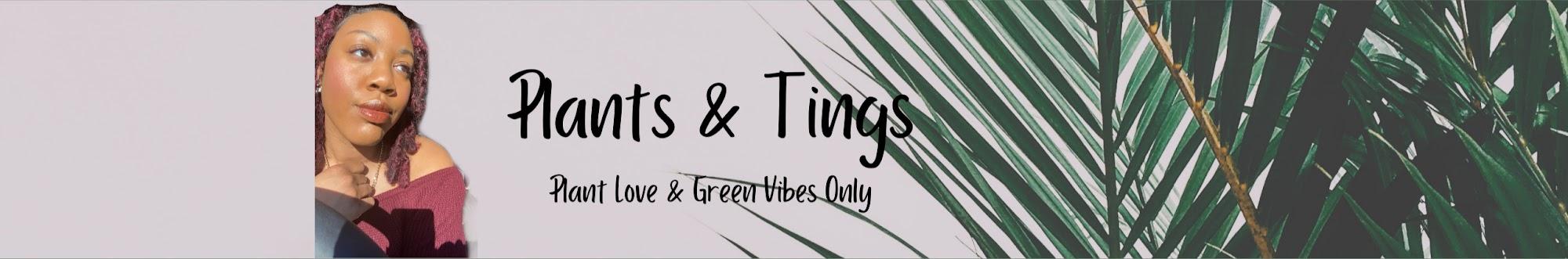 Plants & Tings