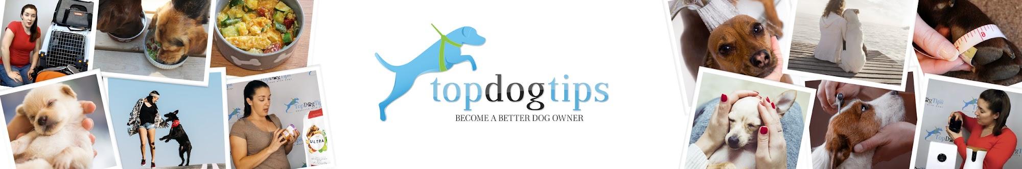 Top Dog Tips