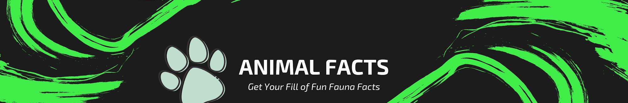 Animal Facts