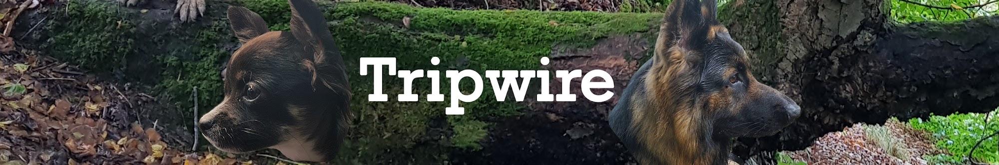 Tripwire