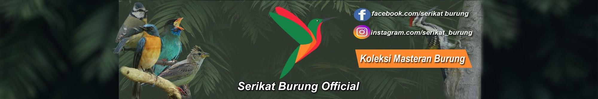 Serikat Burung