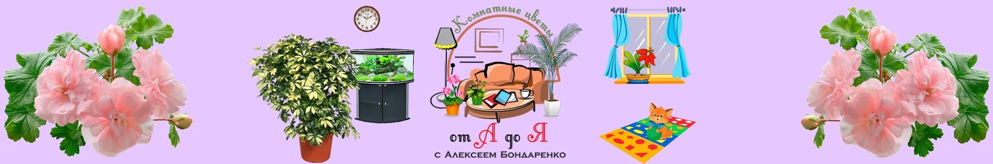 Комнатные цветы от А до Я с Алексеем Бондаренко
