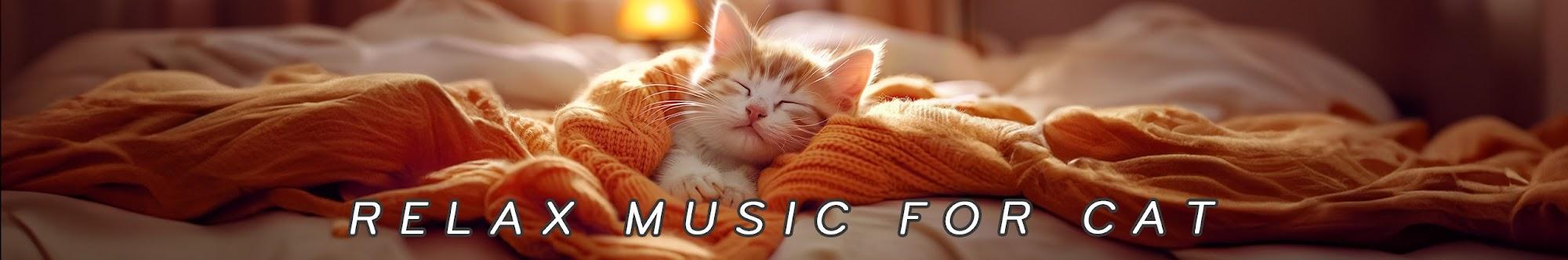 Healing Cat Music