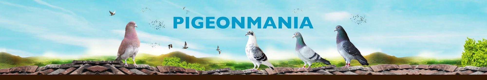 Pigeonmania