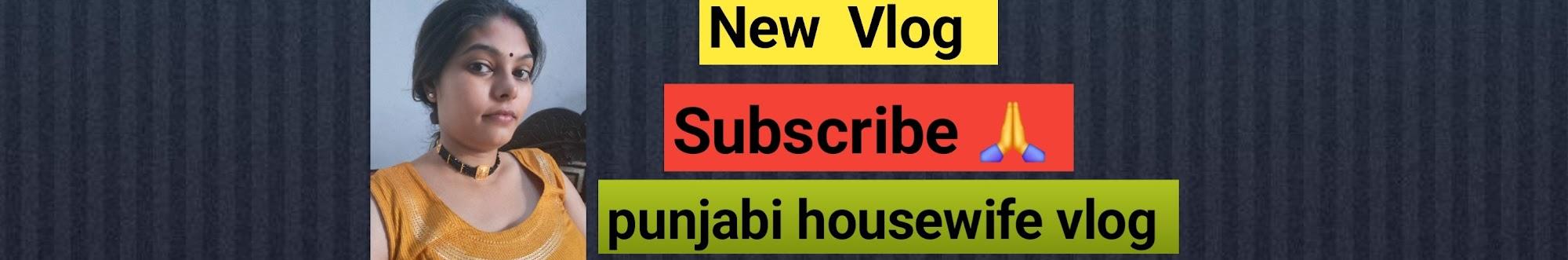 Punjabi housewife vlog 