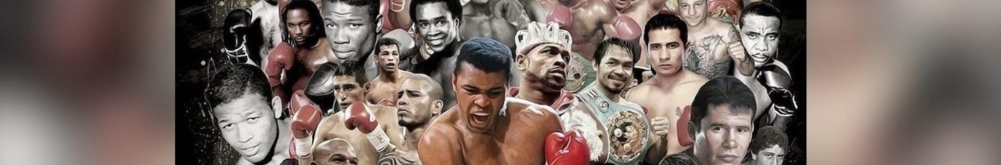 Kingdom of Boxing