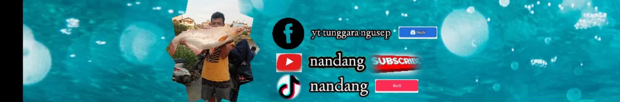 nandang