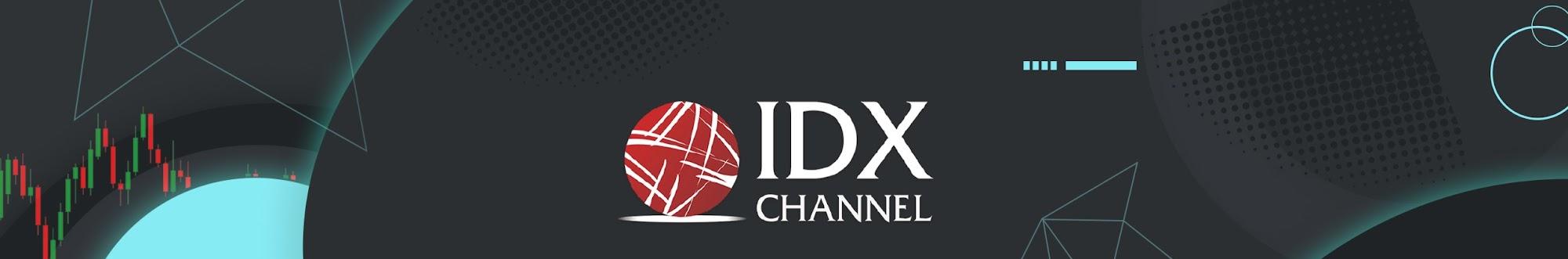 IDX Channel Insights