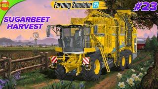 Sugarbeat Harvesting and Making Sugar in the Mill  Farming Simulator 23 Neubrunn #23 fs23 mobile