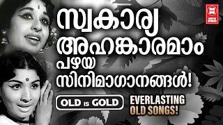 എക്കാലവും മലയാളസിനിമയുടെ സ്വകാര്യ അഹങ്കാരമായ നിത്യഹരിത ഗാനങ്ങൾ   OLD IS GOLD  EVERGREEN SONGS