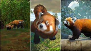 Red Panda Comparison In 4 Games