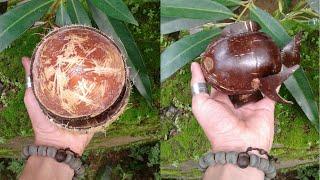 Coconut shell product Fish 