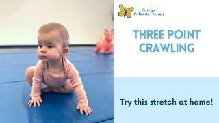 Three Point Crawling Stretches to Try At Home