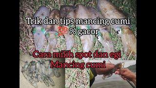 Trik mancing cumi dan cara memilih spot mancing cumi  % gacor#trikmancingcumi #squid fishing tips