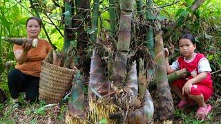 Harvest a lot of cantaloupe Red Harvest bamboo shoots to make chili shoots