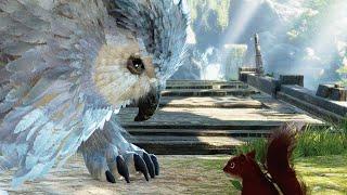 Owlbear vs Squirrel in Balders Gate 3...