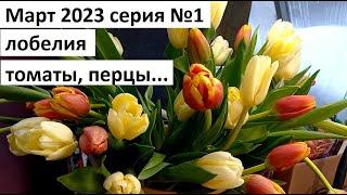 Март 2023 серия №1. Рассада.