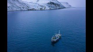 Northern Light Cruise to Barentsburg by Henningsen Transport - aerial 4k drone video in Svalbard