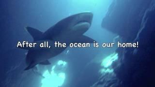 KEEP THE OCEAN CLEAN- Full Song -by Birdsong and the Eco-Wonders