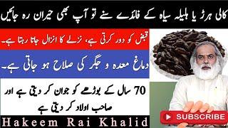 Benefits of Black Myrobalan  Kali Harad K Faiday  Terminalia Chebula Benefits Hakeem Rai Khalid