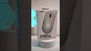 Endgame Gear XM2we Gaming Mouse   60 Second Overview