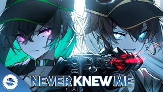 Nightcore - Never Knew Me Lyrics