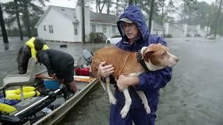 Prepare for Hurricanes for Families