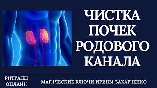 ПОЧКИ. Очищение и восстановление нормализация работы почек. ЧИСТКА РОДОВОГО НЕГАТИВА.