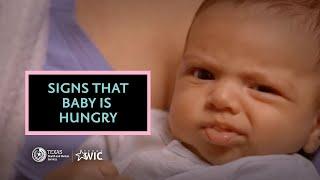 How to Tell When Baby is Hungry  TexasWIC Provides Breastfeeding Support   BreastmilkCounts.com