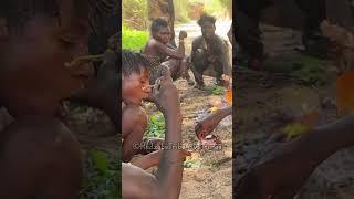 Hadzabe Tribe ancient bushmen cook and prepare all their natural bush food  over bonfire