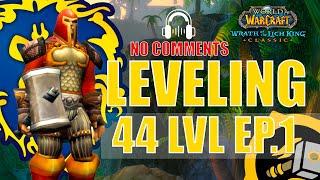 WOTLK Leveling Alliance Guide Paladin 44 EP.1 One hour preparation WoW 4KASMR