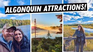 15 Things to do at ALGONQUIN PROVINCIAL PARK  Camping at Algonquin  Ontario Camping